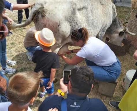 Fattoria didattica a San Fele con bambini